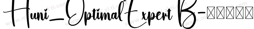 Huni_OptimalExpert B字体转换